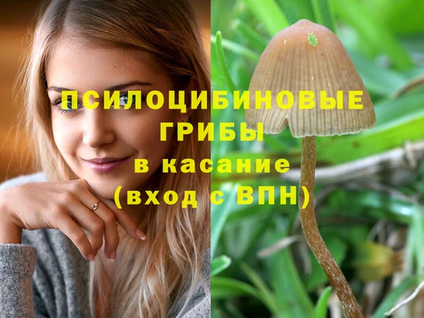 героин Алексин