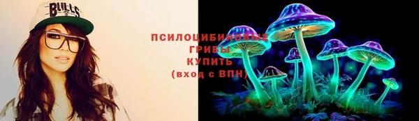 тгк Алексеевка