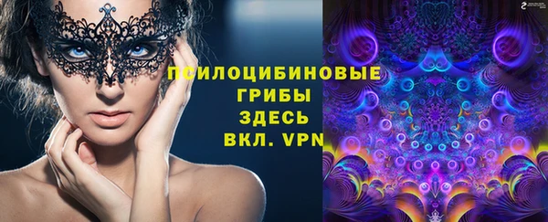 героин Алексин