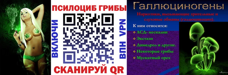 что такое наркотик  Сельцо  Псилоцибиновые грибы MAGIC MUSHROOMS 